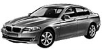BMW F10 P0AA6 Fault Code